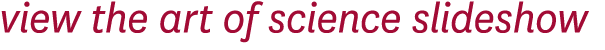 view the art of science slideshow