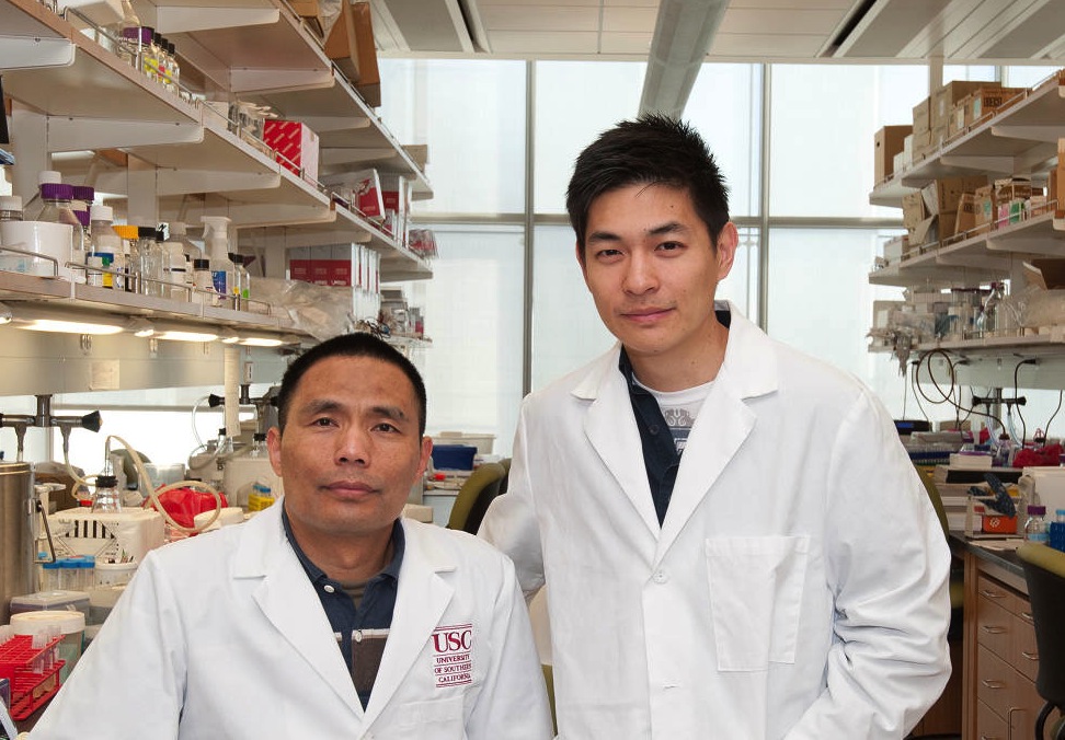 Dr. Qilong Ying (left) and USC graduate student Chih-I (Jimmy) Tai (Photo courtesy of USC)