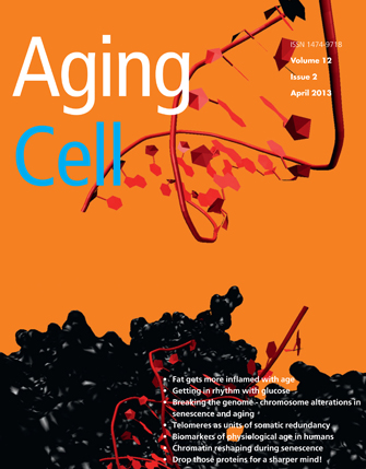 The cover image of Aging Cell shows a common type of genetic damage to a cell when breaks occur in both strands of DNA. (Photo courtesy of Aging Cell)