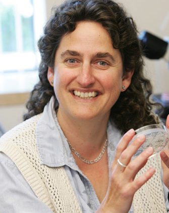 Susan Forsburg served as the corresponding author on a paper about mutated cells that try to replicate their DNA. (Photo by Philip Channing)