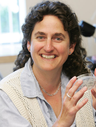 Susan Forsburg served as the corresponding author on a paper about mutated cells that try to replicate their DNA. (Photo by Philip Channing)