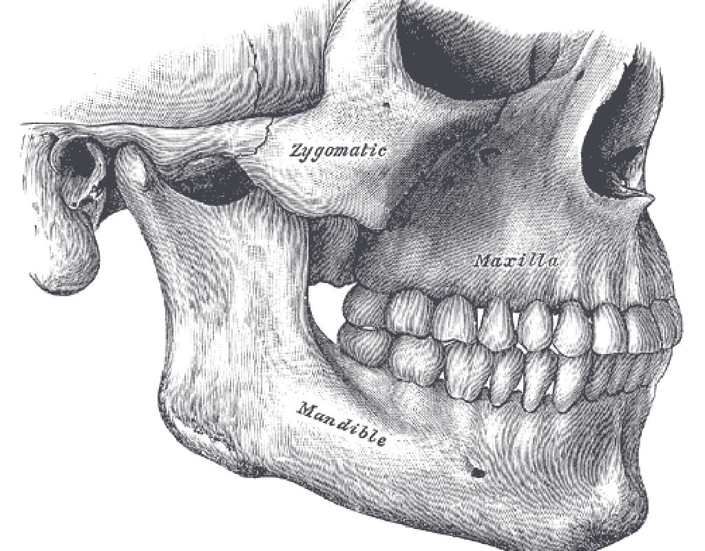 The study focused on tumors that can cause progressive enlargement of the jaw.