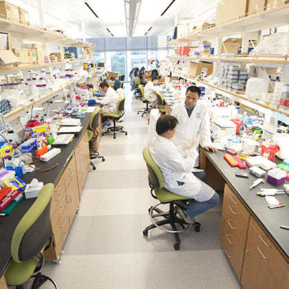 The Hearst Fellows will be exceptional junior postdoctoral scholars pursuing stem cell research at USC. (Photo by Chris Shinn)