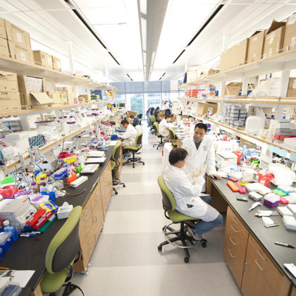 The Hearst Fellows will be exceptional junior postdoctoral scholars pursuing stem cell research at USC. (Photo by Chris Shinn)