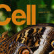 August 2015 cover of Cell