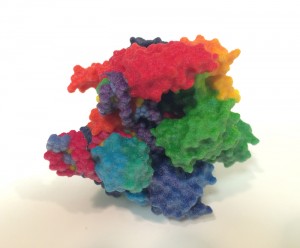 3-D printed Cas9 enzyme that snips a DNA sequence at a location identified by CRISPR. (Photo courtesy of the NIH 3D Print Exchange, National Institutes of Health)