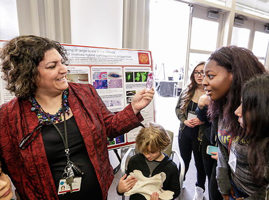 USC Stem Cell scientist Francesca Mariani teaches about bones and cartilage. (Photo by David Sprague)