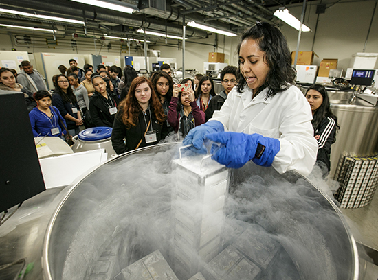 USC master's student Varsha Samararatne puts cells in cold storage. (Photo by David Sprague)