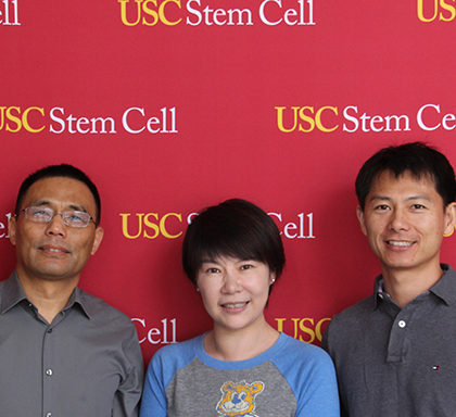 From left, Qi-Long Ying, Min Zhou, and Ying Lab postdoc Shi (Steve) Yue (Photo by Cristy Lytal)