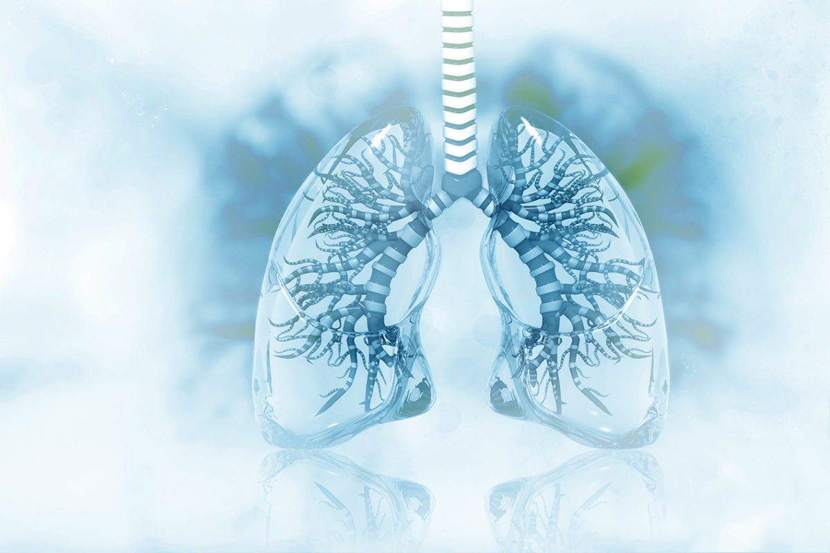 Researchers at Children’s Hospital Los Angeles have made a critical advance in the field of lung research by looking at how the human lung develops at the single cell level. (Illustration/Shutterstock)