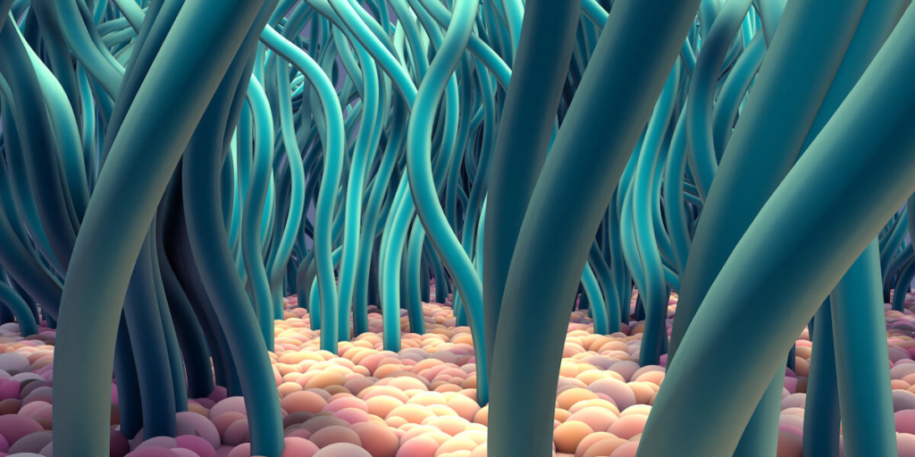 3-D illustration of ciliated cells. (Image courtesy of iStock)