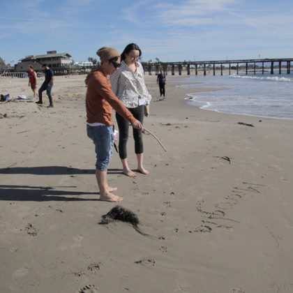 Kuo-Chang (Ted) Tseng from the Crump Lab and Michelle Hung from the Ichida Lab enjoy a beachside brainstorm.