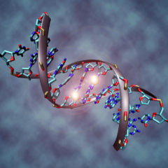 DNA (Image by Christoph Bock/Max Planck Institute for Informatics)