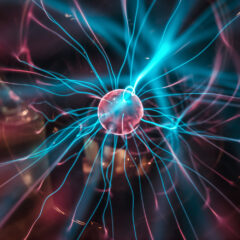 Nerves
