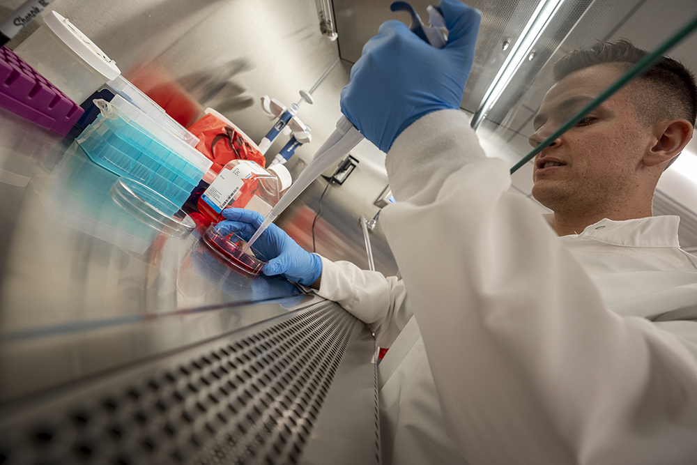 A student in the teaching lab in USC's stem cell research center (Photo by Chris Shinn)