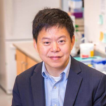 Peter Yingxiao Wang, PhD - USC Stem Cell