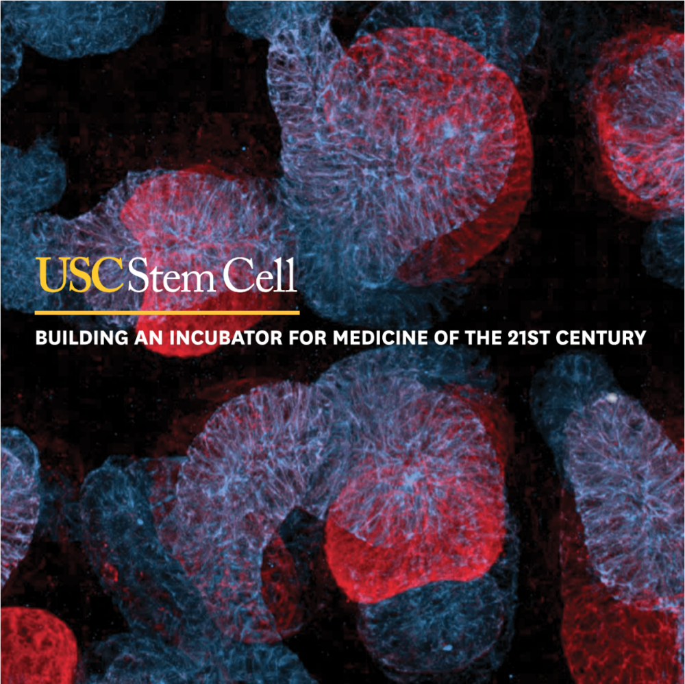 Yang Chai, DDS, PhD - USC Stem Cell