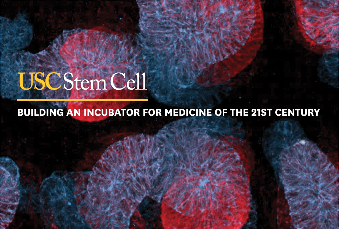Building an Incubator for Medicine of the 21st Century