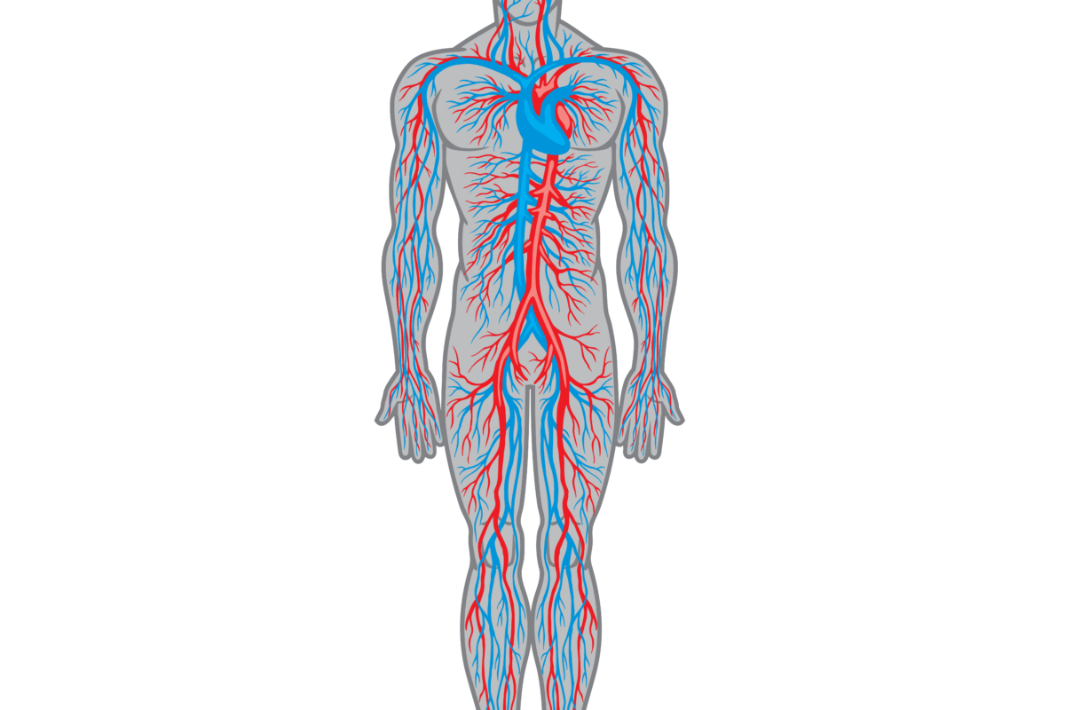 (Image courtesy of the Ostrow School of Dentistry of USC)