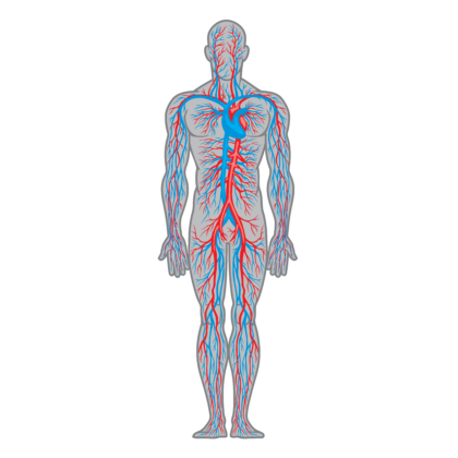 (Image courtesy of the Ostrow School of Dentistry of USC); featured image for A better understanding of tissue regeneration