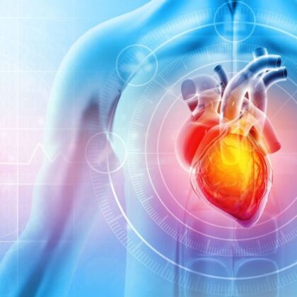 Image/iStock; featured image for USC launches collaboration with StemCardia to advance heart regeneration therapies