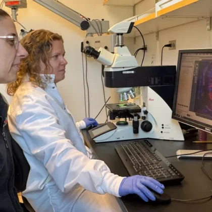 Laura Perin in the lab (image courtesy of CHLA); featured image for Fasting-mimicking diet restores kidney function in study