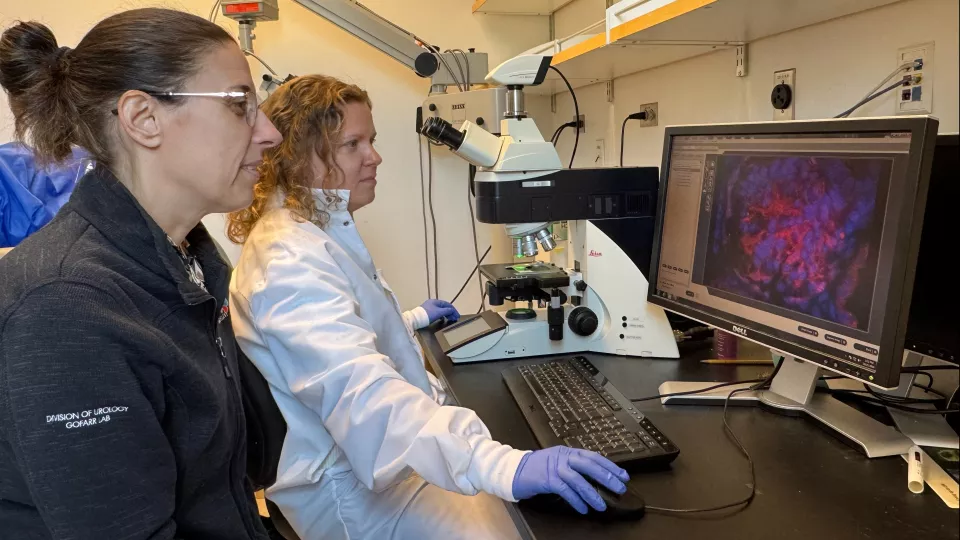 Laura Perin in the lab (image courtesy of CHLA)