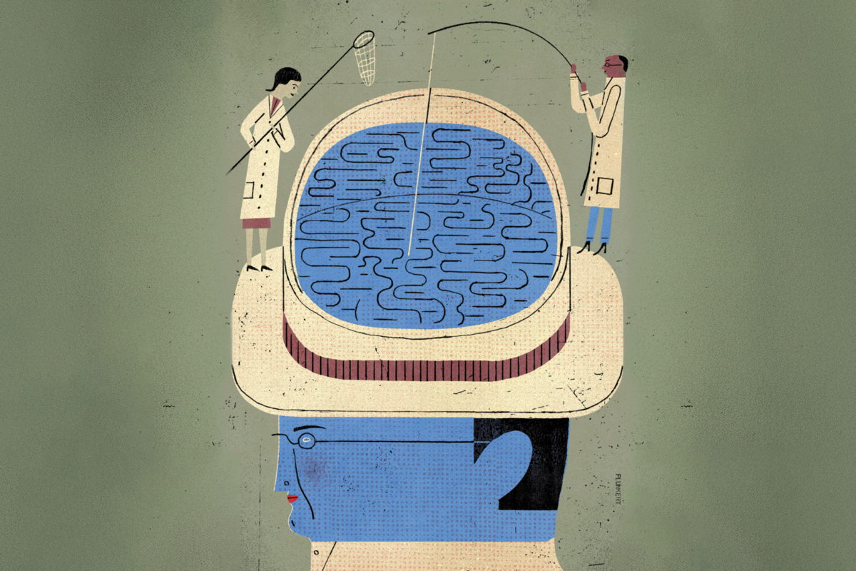 Brain illustration (Illustration by David Plunkett)