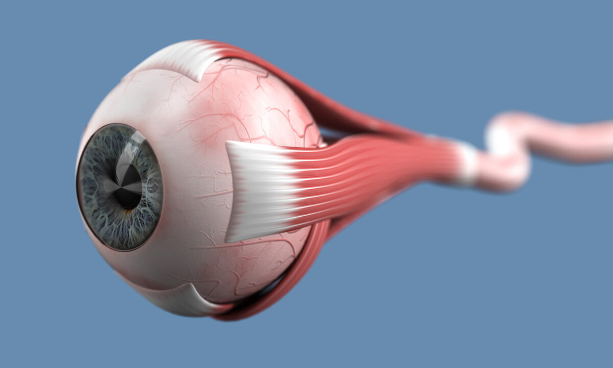 Eye (Image courtesy of iStock)