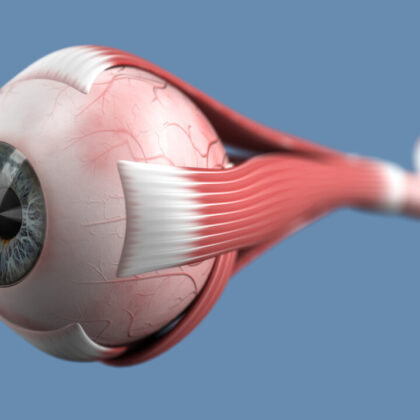 Eye (Image courtesy of iStock); featured image for Up to $47 million award supports collaborative eye transplant research co-led by USC