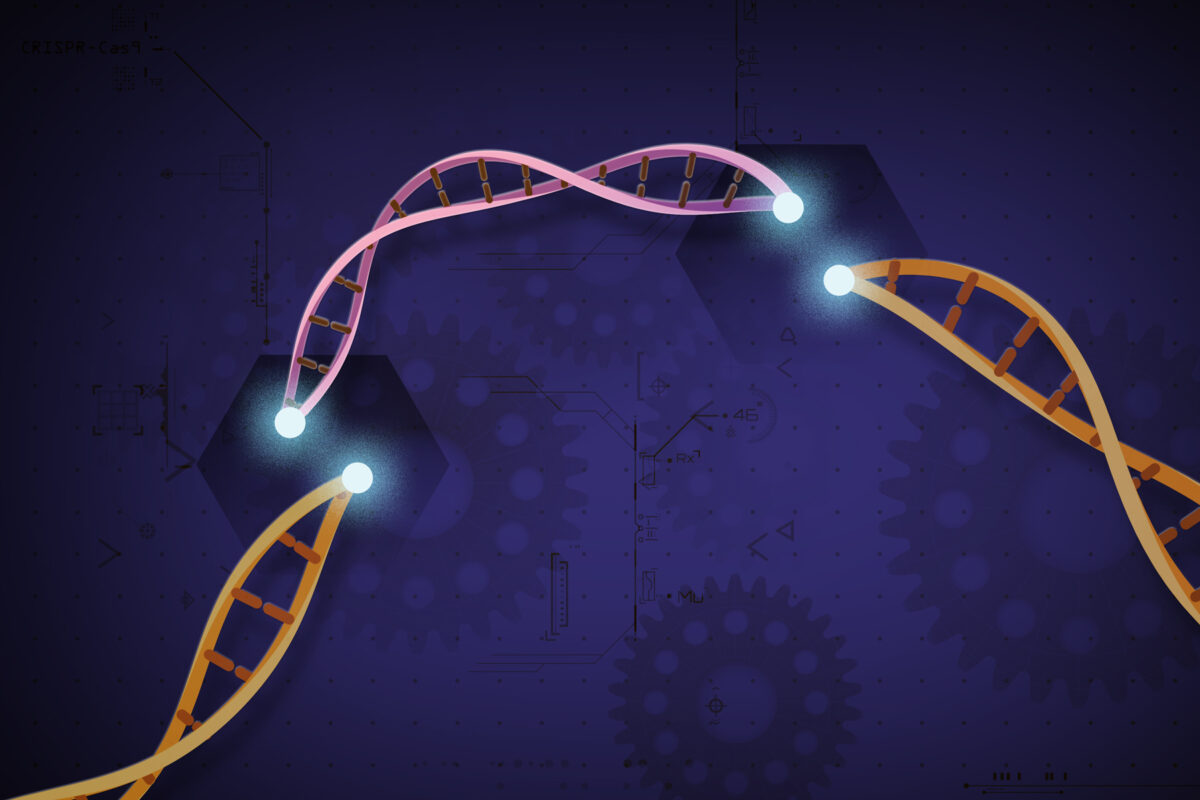CRISPR (Courtesy of NIH)