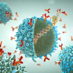 Genetically engineered chimeric antigen receptor immune cell (image courtesy of iStock)