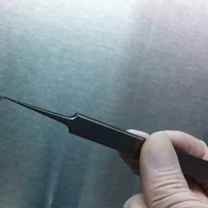 Stem cell-derived patch (Photo courtesy of Regenerative Patch Technologies LLC); featured image for Can a retinal implant reverse macular degeneration?