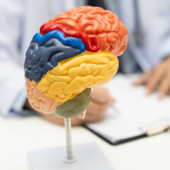 (Image courtesy of Adobe Stock)