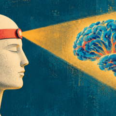 Illustration of brain projection